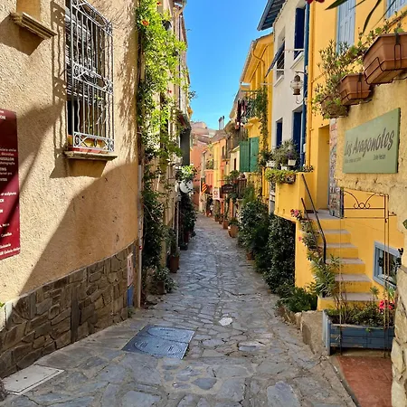 Collioure, Grande Terrasse Et Parking Lägenhet