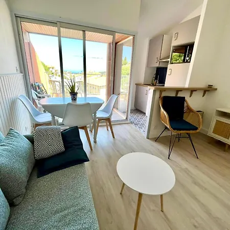 Collioure, Grande Terrasse Et Parking *