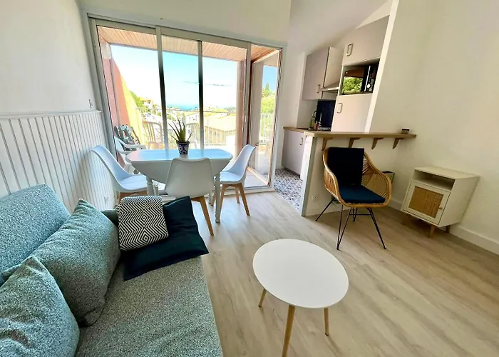 Collioure, Grande Terrasse Et Parking *