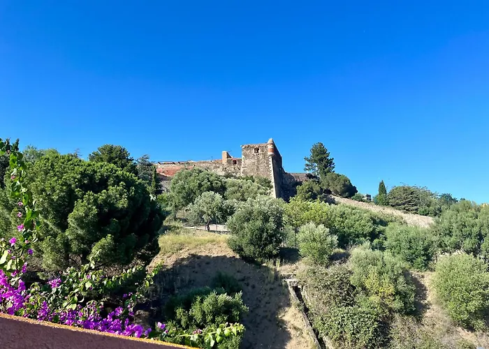 Collioure, Grande Terrasse Et Parking *