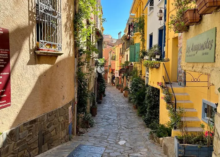 Collioure, Grande Terrasse Et Parking Lejlighed